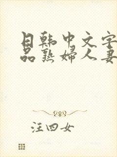 日韩中文字幕精品熟妇人妻