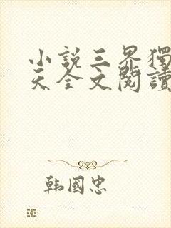 小说三界独尊犁天全文阅读免费