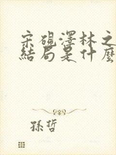 宋砚泽林之意大结局是什么封面