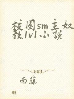 校园sm主奴调教1v1小说封面