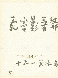 王小凤三级露全乳电影有哪些