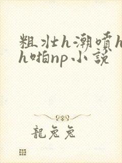 粗壮h潮喷h高h啪np小说封面