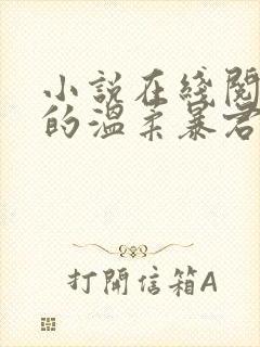 小说在线阅读我的温柔暴君