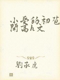 小受的初苞被强开高h文