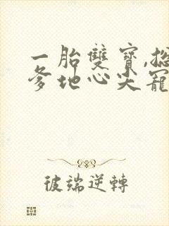 一胎双宝,总裁爹地心尖宠