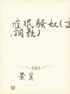 催眠骚奴(高h,调教)