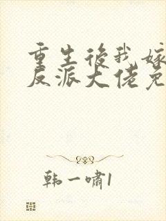 重生后我嫁给了反派大佬免费阅读