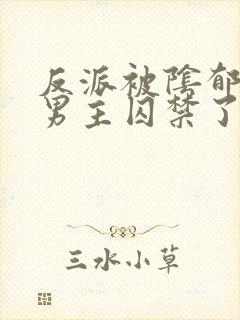 反派被阴郁疯批男主囚禁了原著小说