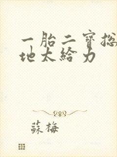 一胎二宝总裁爹地太给力