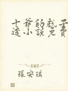 十爷的戏子摸不透小说免费阅读