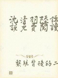 沈清羽陆锦容小说免费阅读最新章节封面