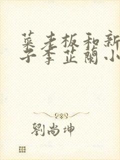 菜老板和新婚妻子李芷兰小说