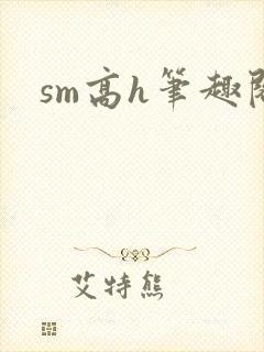 sm高h笔趣阁