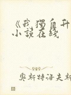 《我独自升级》小说在线