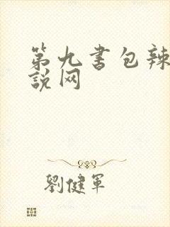 第九书包辣文小说网封面