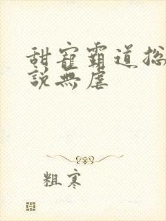 甜宠霸道总裁小说无虐