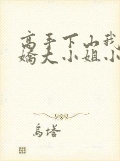 高手下山我的傲娇大小姐小说免费阅读封面