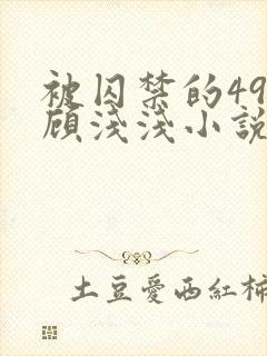 被囚禁的49天顾浅浅小说全文阅读无弹窗