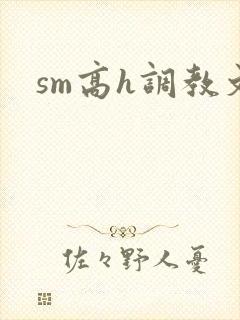 sm高h调教文封面