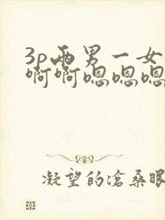 3p两男一女啊啊啊嗯嗯嗯太大了好舒服