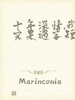 十年深情,我终究是过客短剧免费观看