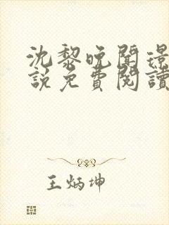 沈黎晚闻璟川小说免费阅读最新章节