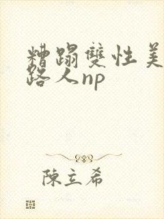 糟蹋双性美人多路人np