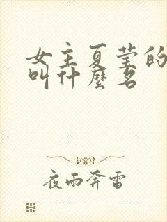 女主夏莹的小说叫什么名封面