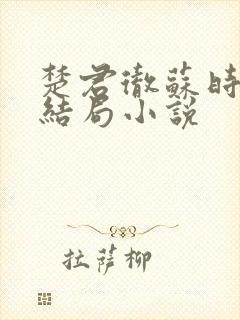 楚君彻苏时锦大结局小说封面