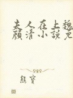 夫人在上魏舒寒颜清小说免费阅读