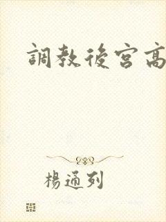 调教后宫高h文封面