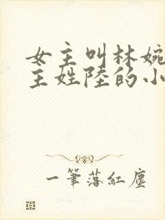 女主叫林婉清男主姓陆的小说封面