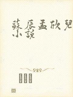 苏辰孟欣儿最新小说封面