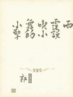 小舞吃霍雨浩巨擎的小说