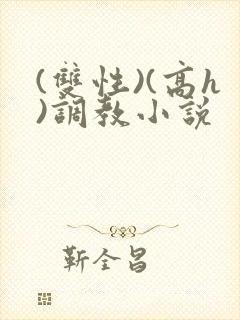 (双性)(高h)调教小说