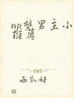 np双男主小说推荐封面