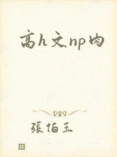 高h文np肉