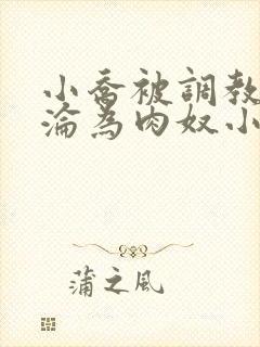 小乔被调教喷水沦为肉奴小说封面