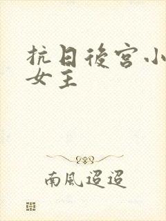 抗日后宫小说多女主