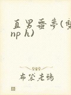 直男噩梦(双性np h)