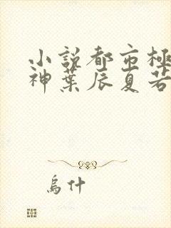 小说都市极品医神叶辰夏若雪无弹窗