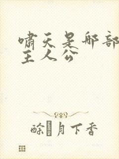 啸天是哪部小说主人公封面