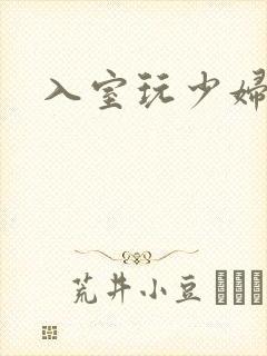 入室玩少妇h文