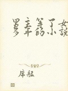 男主等了女主很多年的小说封面