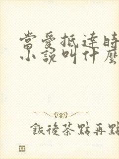 当爱抵达时原著小说叫什么