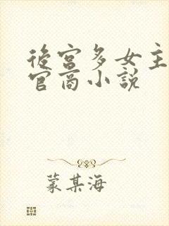 后宫多女主全部官商小说