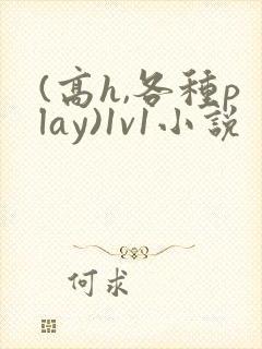 (高h,各种play)1v1小说