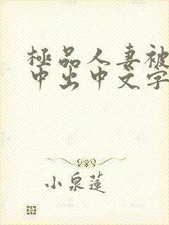 极品人妻被黑人中出中文字幕