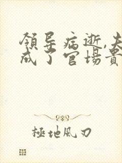 领导病逝,夫人成了官场贵人小说