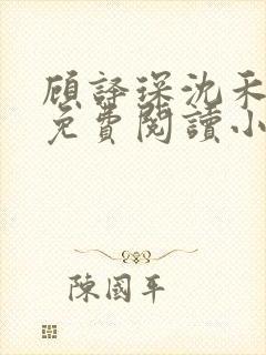 顾译琛沈禾全文免费阅读小说